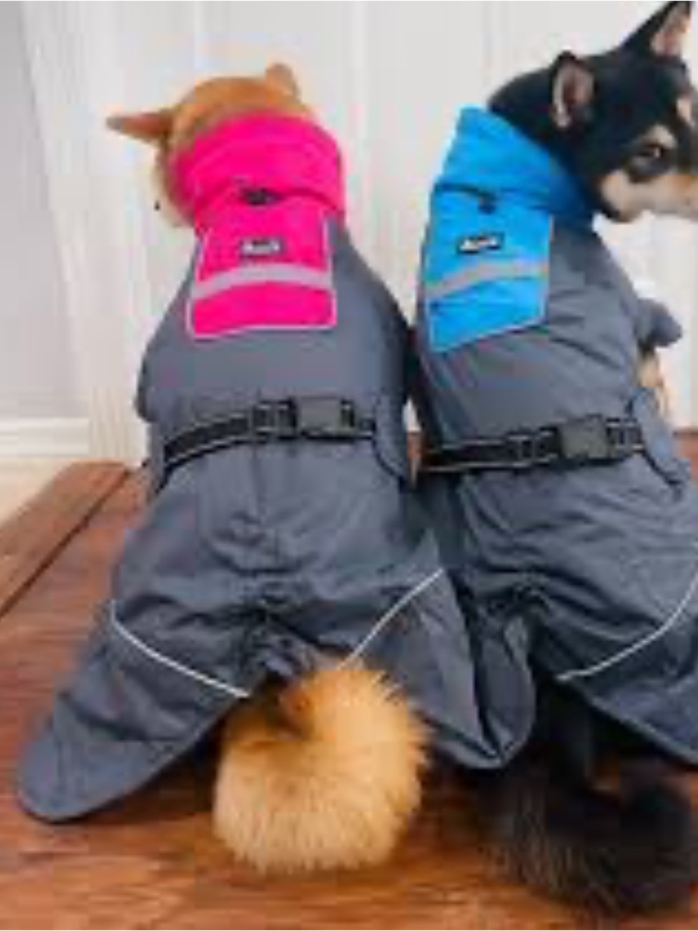 Dog Jacket with Foeece Lining